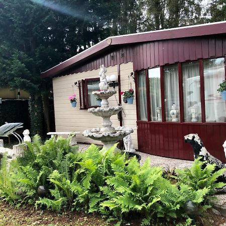 Retro Relax Resort Midden In Het Bos Op De Veluwe In Putten Bagian luar foto